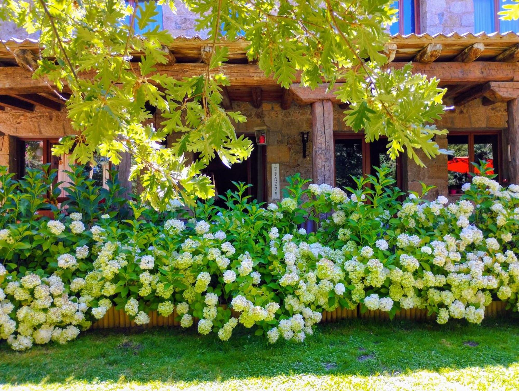 Posada Restaurante Fuenteplateada Collado Hermoso Εξωτερικό φωτογραφία